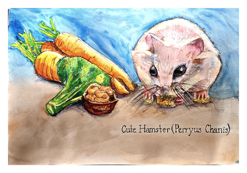 Cute Hamster (Perryus Chanis).png