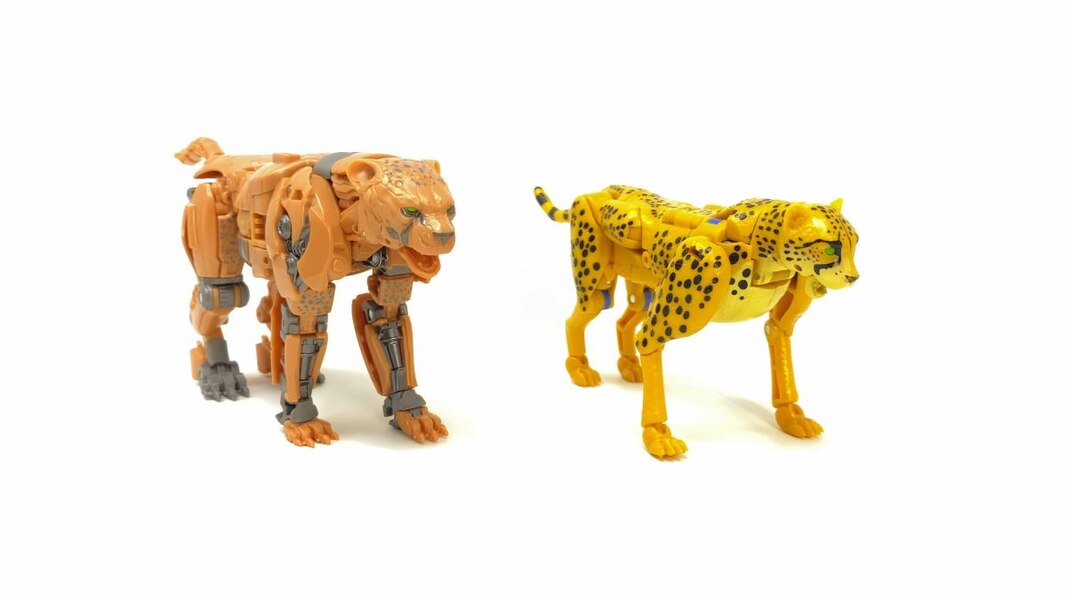In-Hand Image of Studio Series Rise of the Beasts 98 Cheetor (47)__scaled_600.jpg