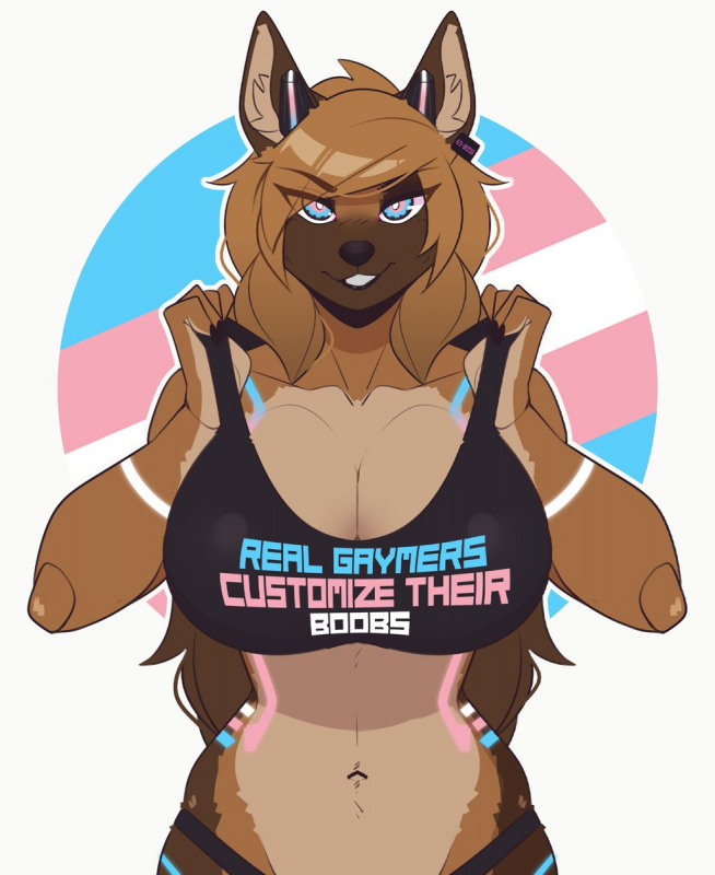 real gaymers customize their boobs.png