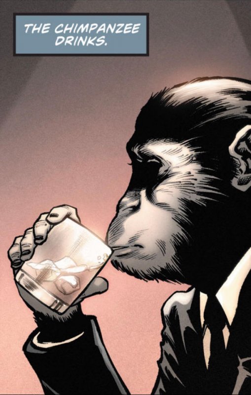 the chimpanzee drinks.jpg