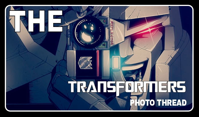 The Transformers Photo Thread.jpg