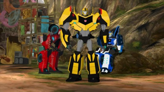 RID 2015 - Bumblebee's Front View.jpg