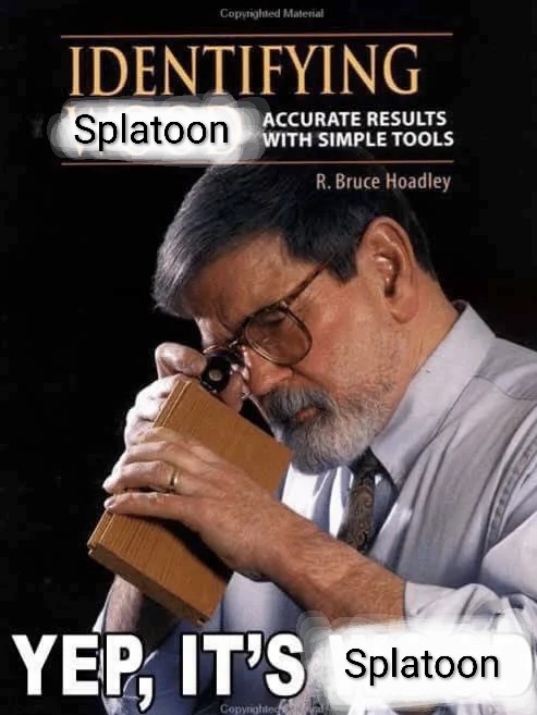 1000001064.jpg