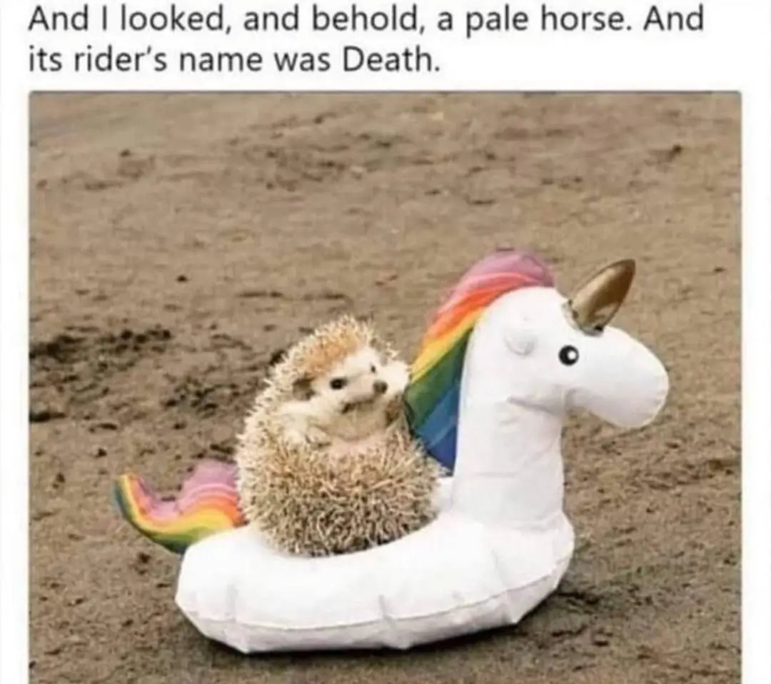 1000002931.jpg