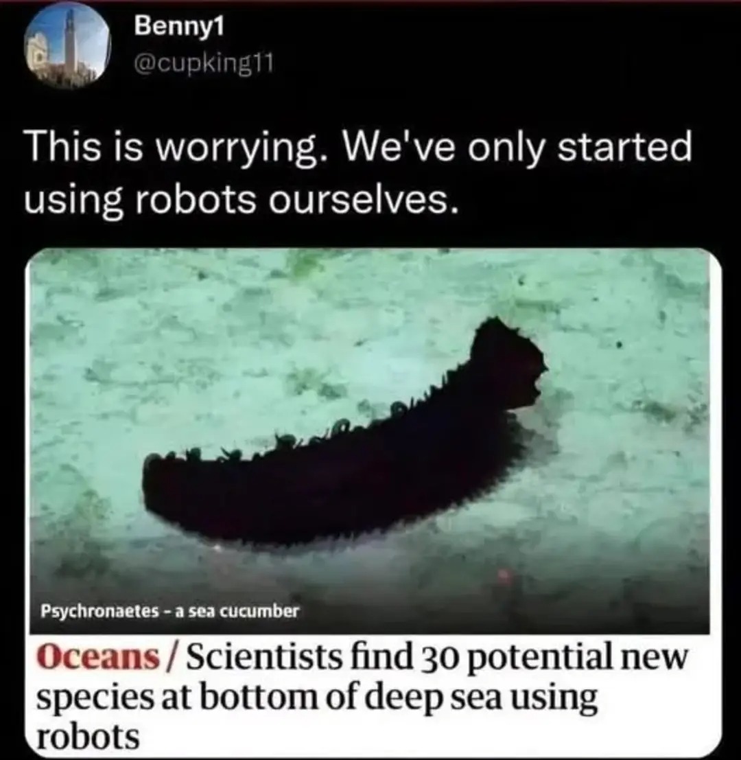 1000004340.jpg