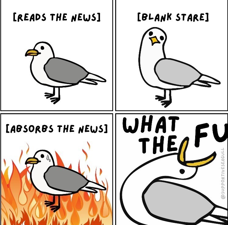 1748445915309.jpeg