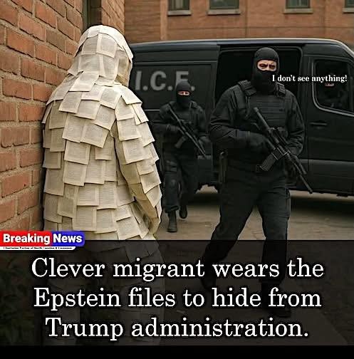 1755062519036.jpeg