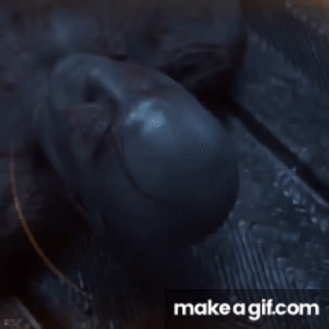 1759480479923.gif