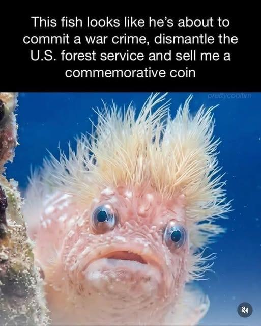 1776725048034.png