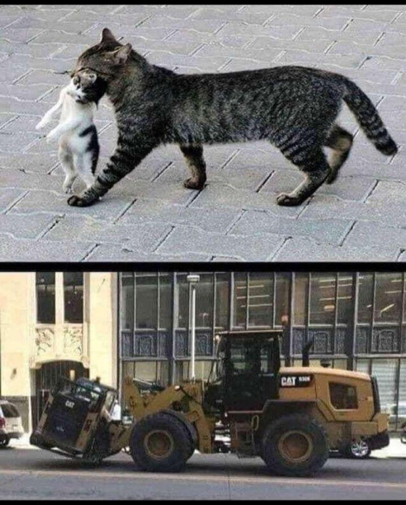 1786559037949.png