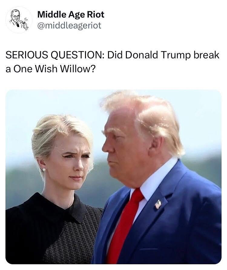 1787155930431.png