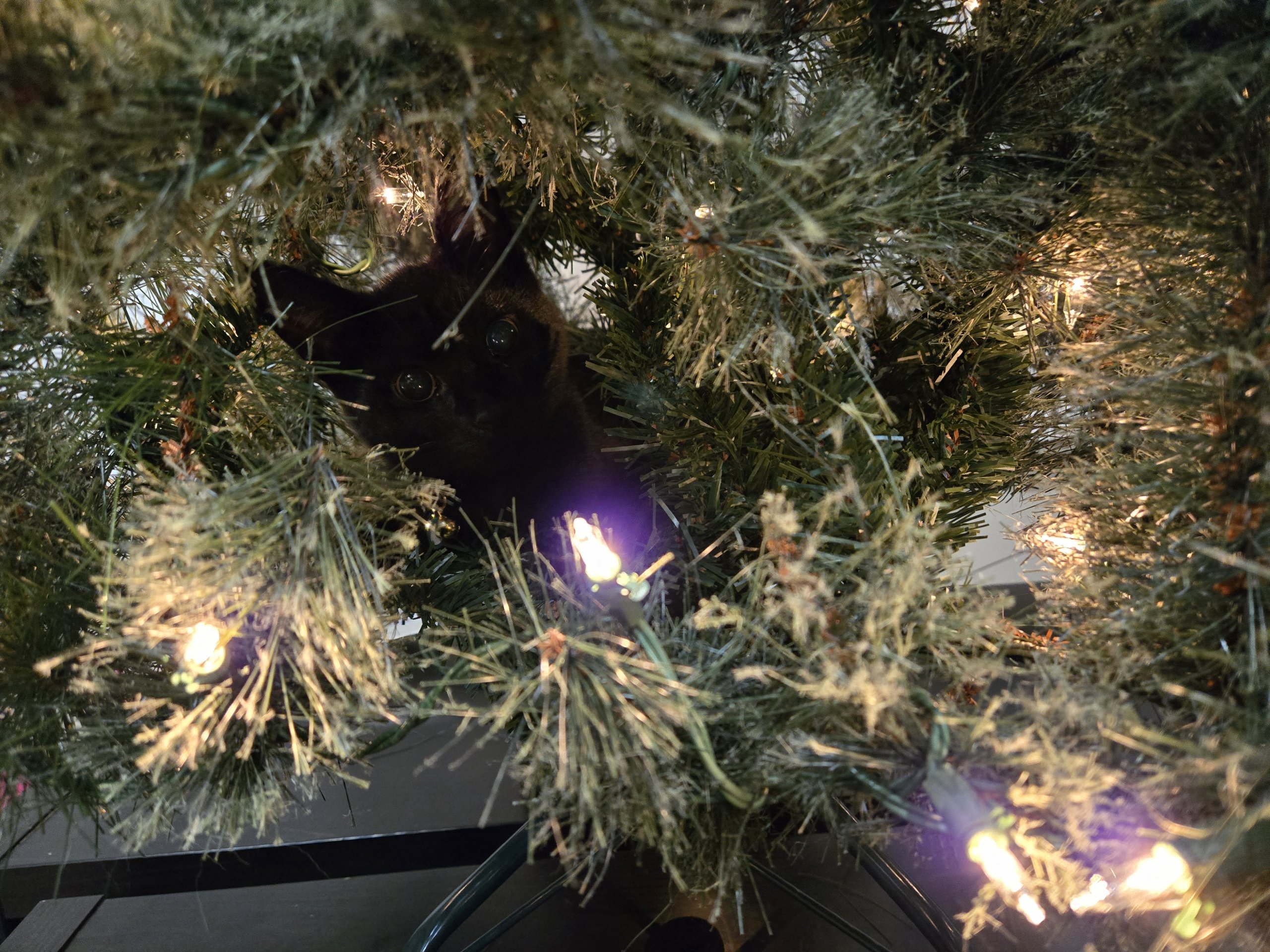 20241220_033527.jpg