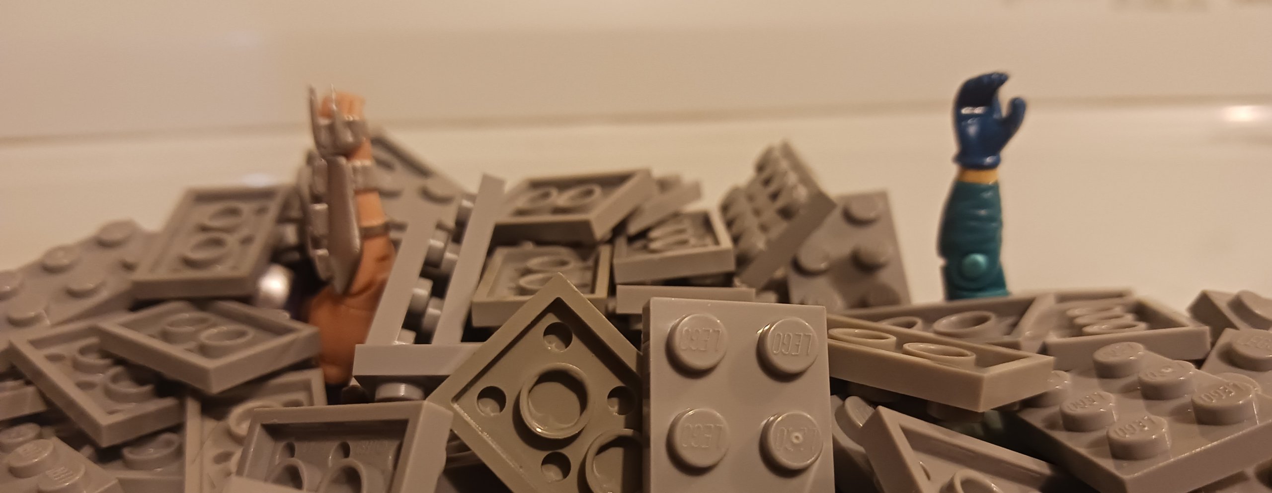 20260914_123337.jpg