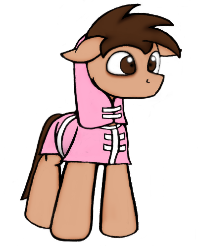 49 degrees color.png