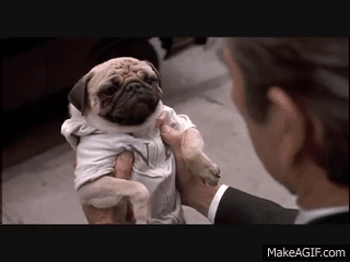 A3ftd9.gif
