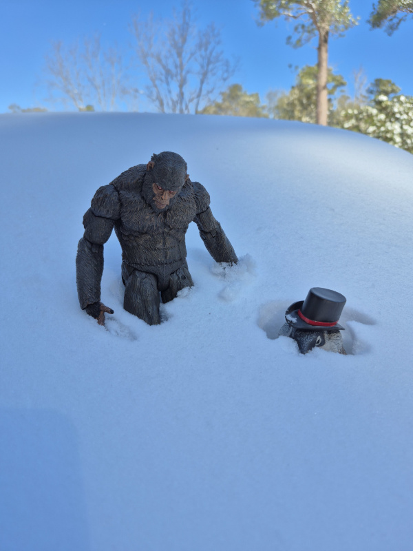 BFPhilSnow600.jpg