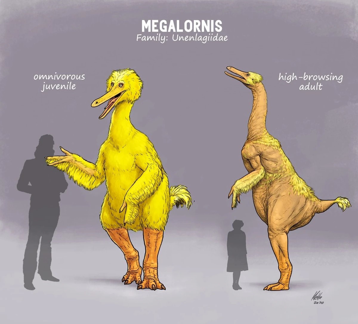 Big_bird_(SciiFii).jpg
