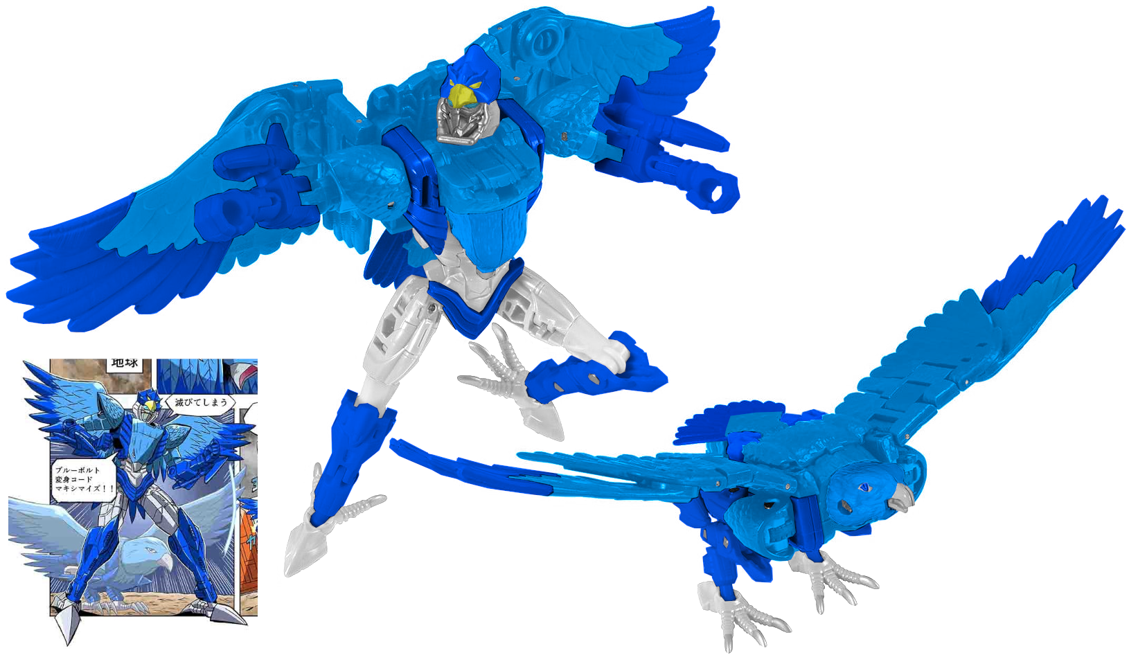 Bluebotls.png