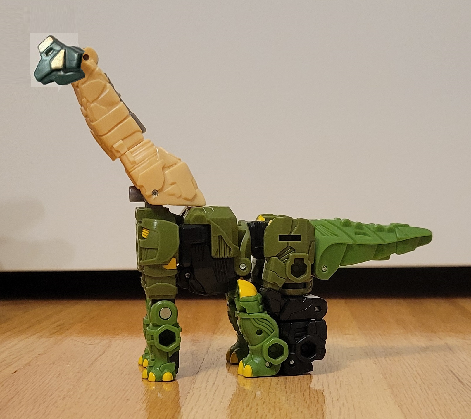 brachi.jpg