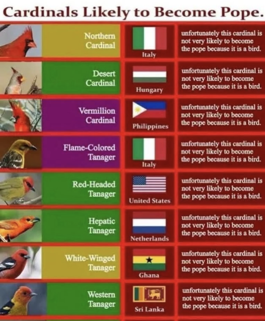 cardinalslikelytobecomepope.png