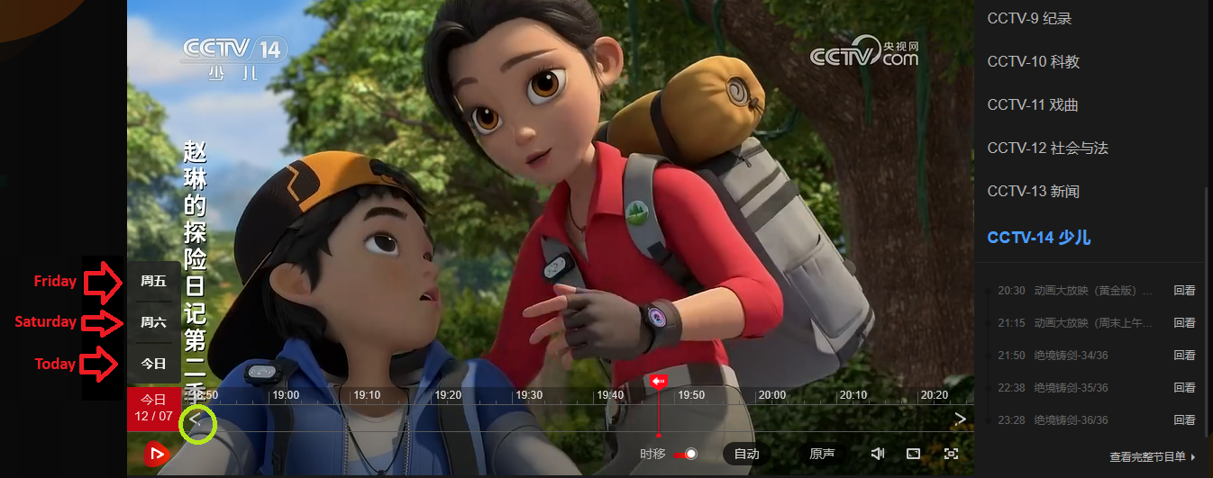 CCTVplayer.png