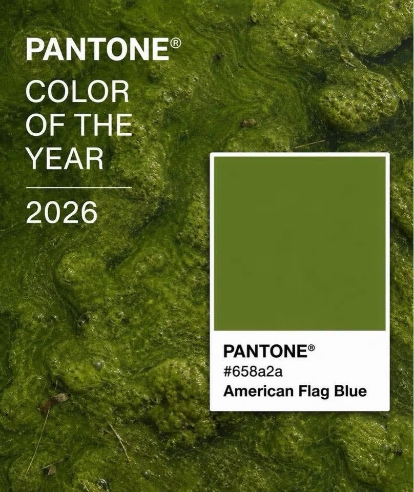 coloroftheyear.png
