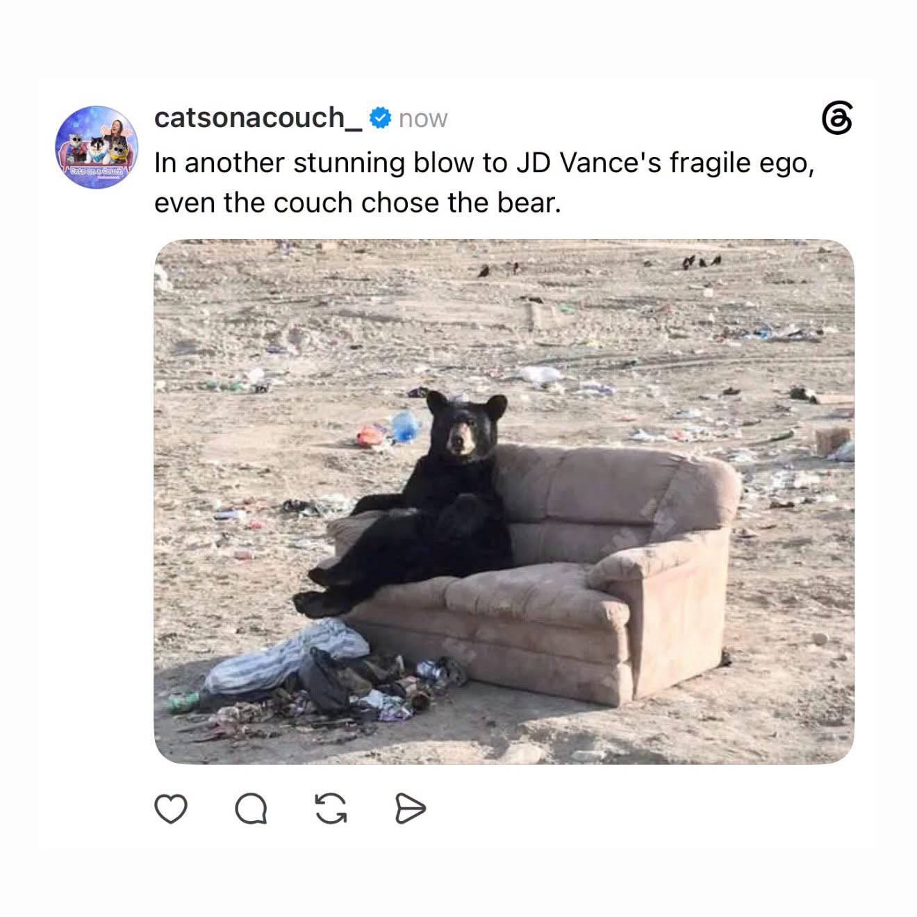 couchchosethebear.jpg
