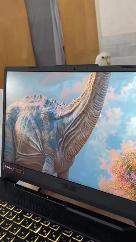 dinosaurlaptop.png