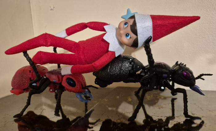 ElfAnts700.jpg