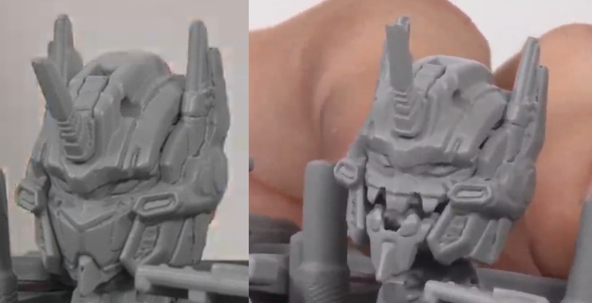 Head & Faces.jpg