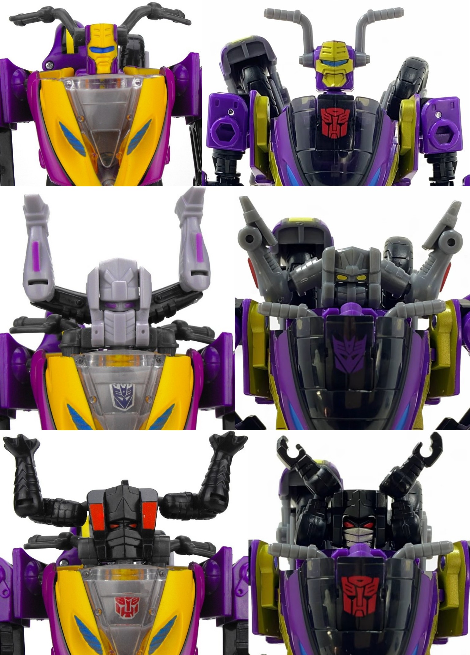 Heads.jpg
