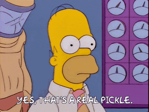 homer-rage-yes-that's-a-real-pickle.gif