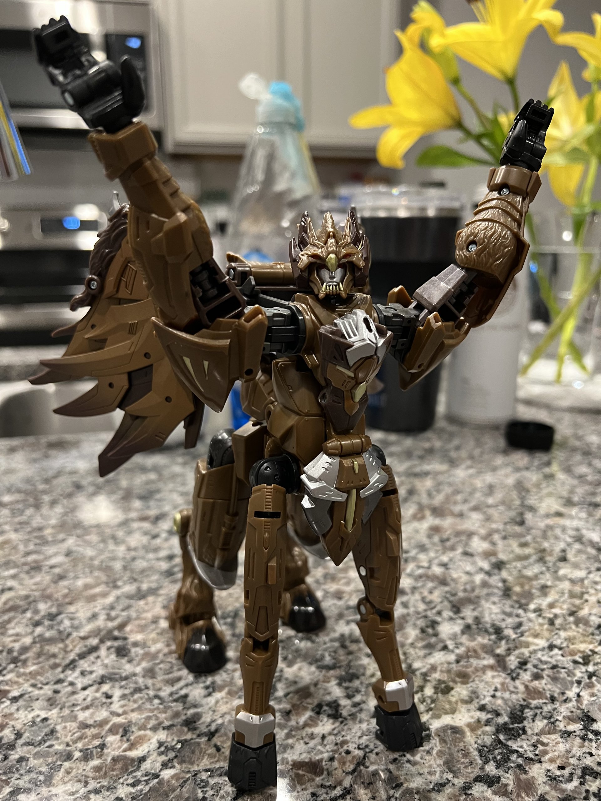 IMG_3339.jpeg