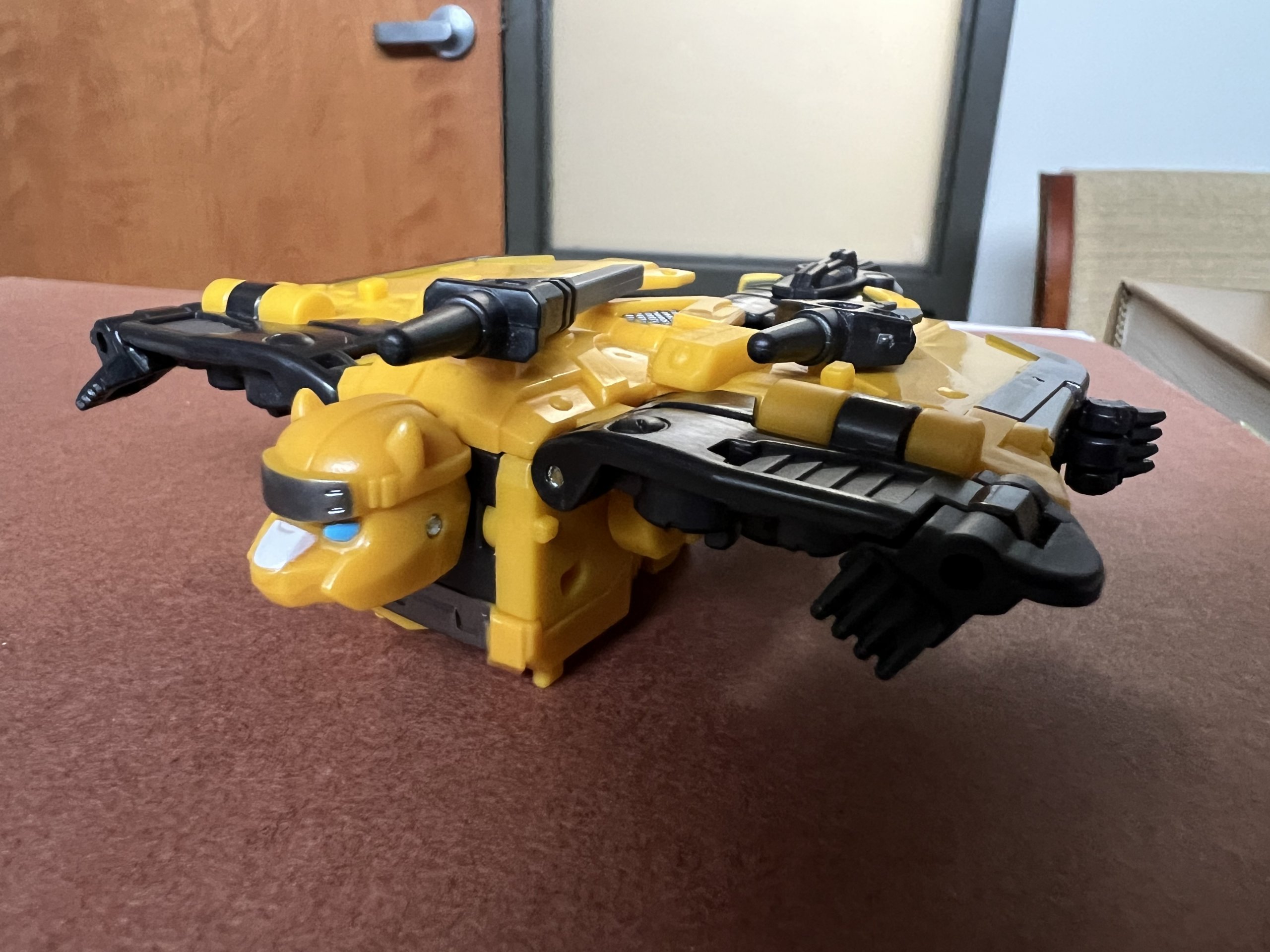 IMG_4986.jpeg