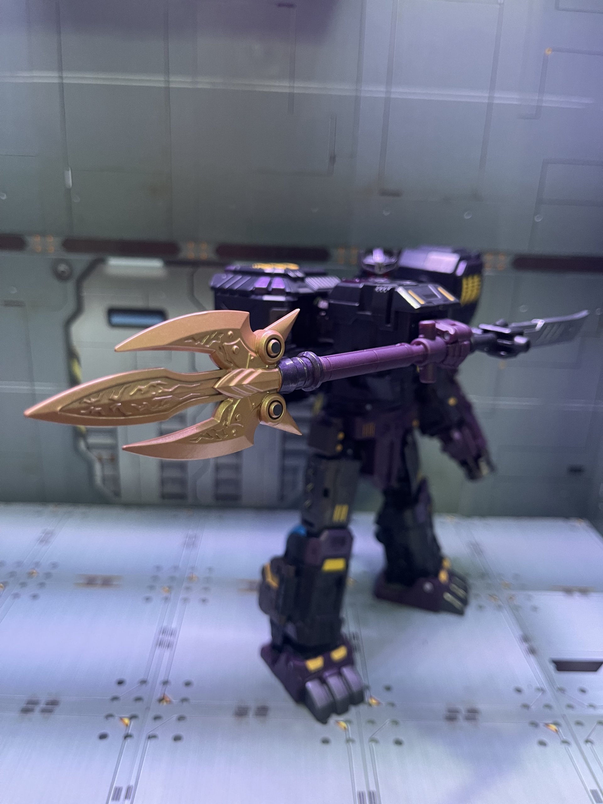 IMG_6085.jpeg