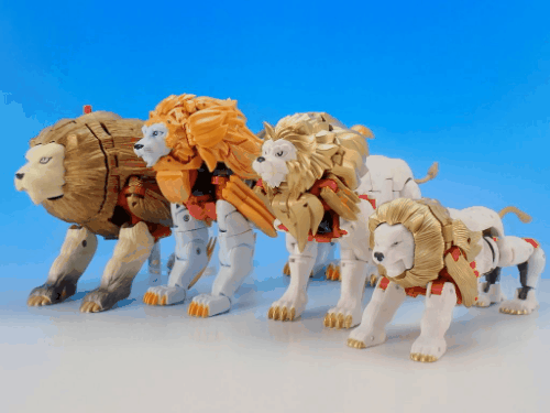 Lion.gif