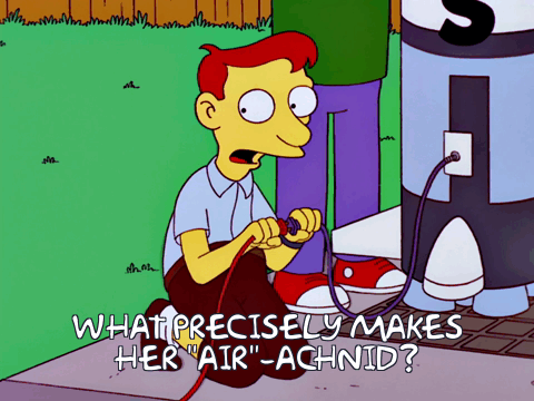 M_mfqqcB-w1xpFQrQr09OH8zNu0=.gif