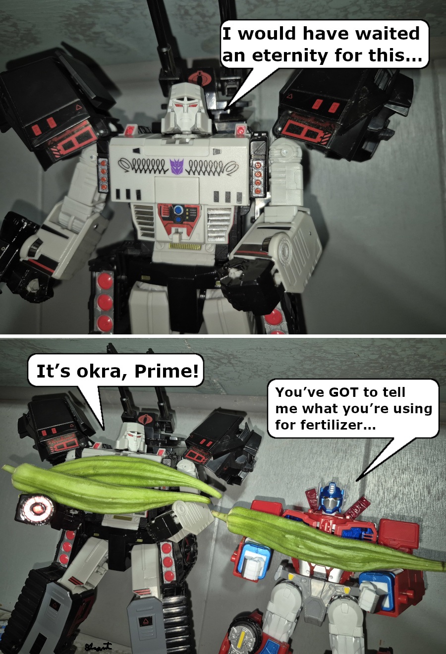 MegOkraPrime.jpg