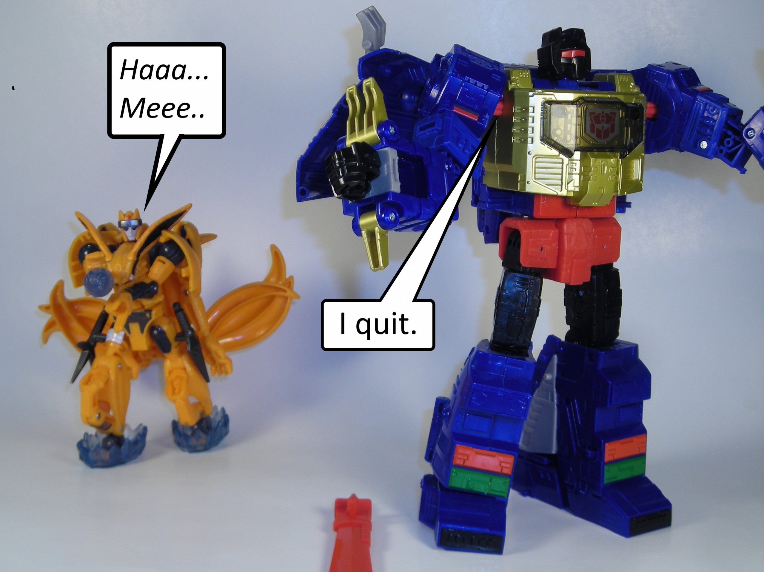 quitp3.jpg