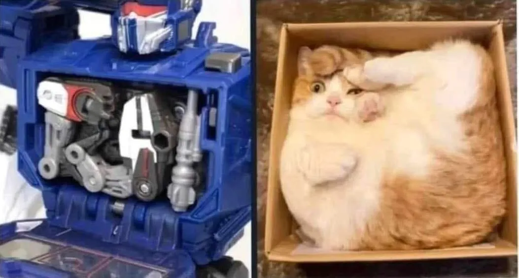 ravageisinabox.png