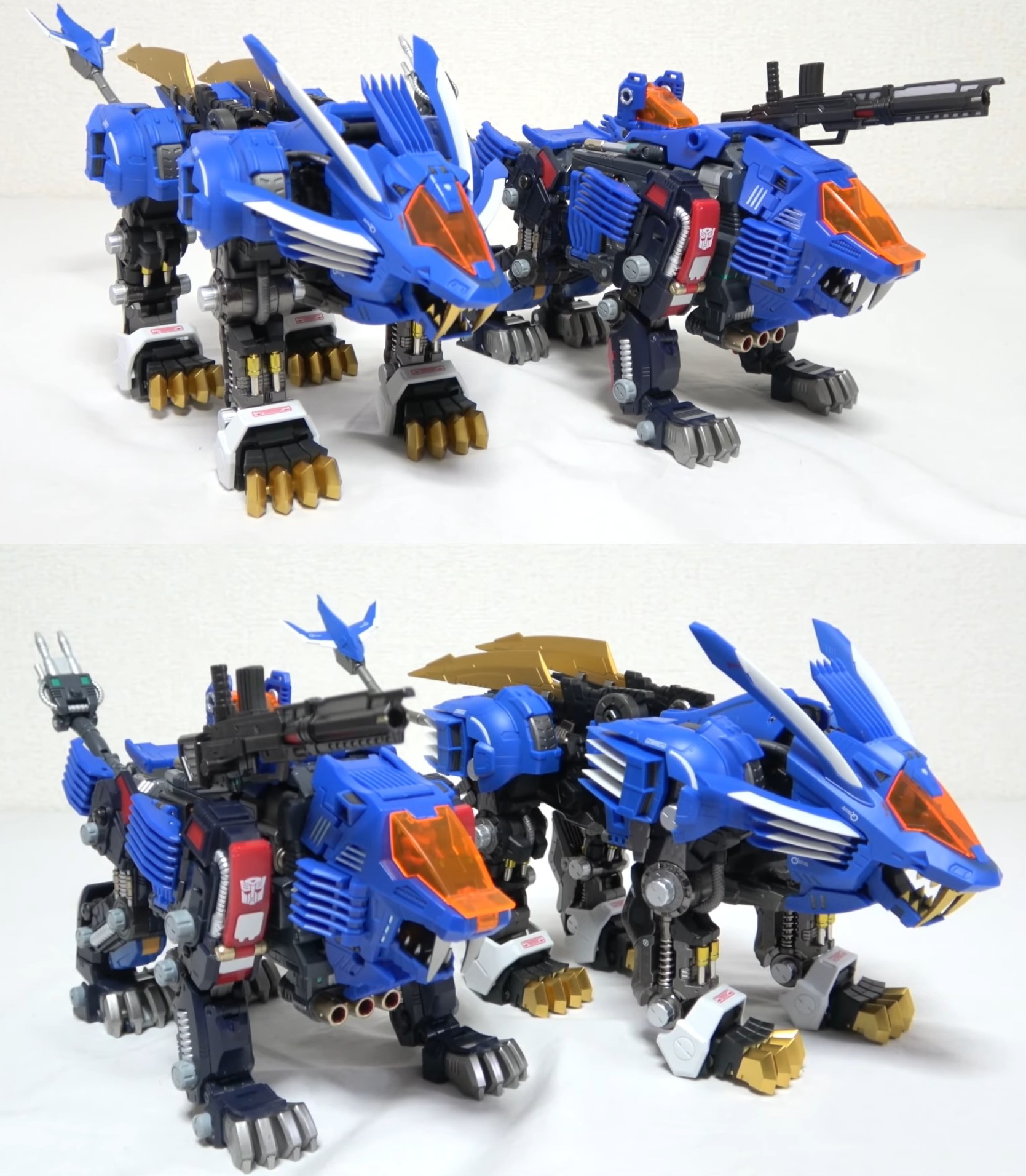 Shield Ligers Compassion.jpg