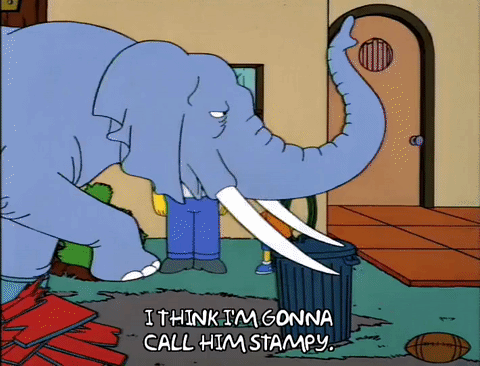 stampy-the-simpsons-bart-gets-an-elephant-s05e17-1994-v0-kcilclcxi2x81.gif