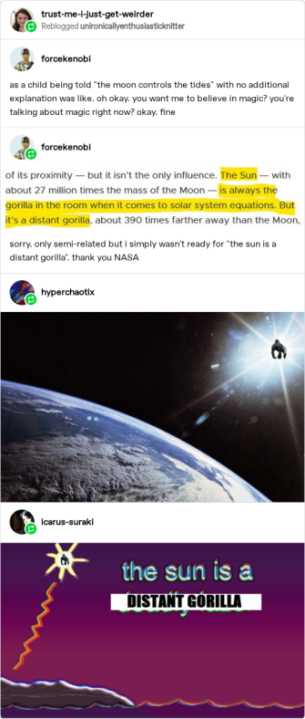 thesunisadistantgorilla.png