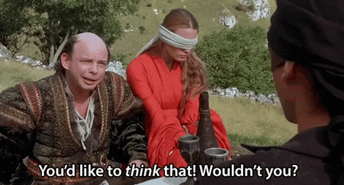 you'd-like-to-think-that-princess-bride.gif