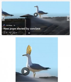 new pope.jpg