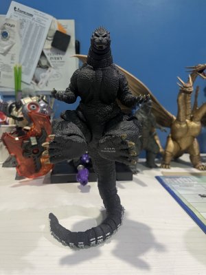 IMG_4209.jpeg