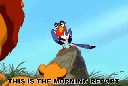 lion-king-the-lion-king.png