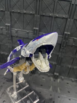 IMG_4431.jpeg