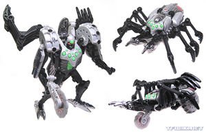 300px-Tarantulas-FKTM.jpg