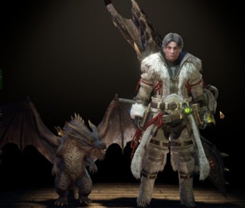 DragonPalico1x700.jpg